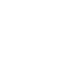 Southern Fried Records